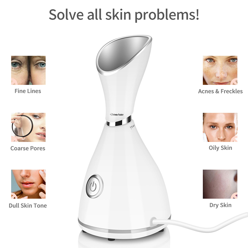 ポータブルナノイオンホットミストフェイシャルスチーマー プロ - Face Steamer のレビューと価格